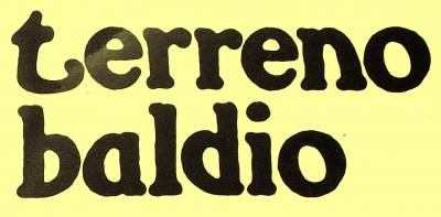 logo Terreno Baldio